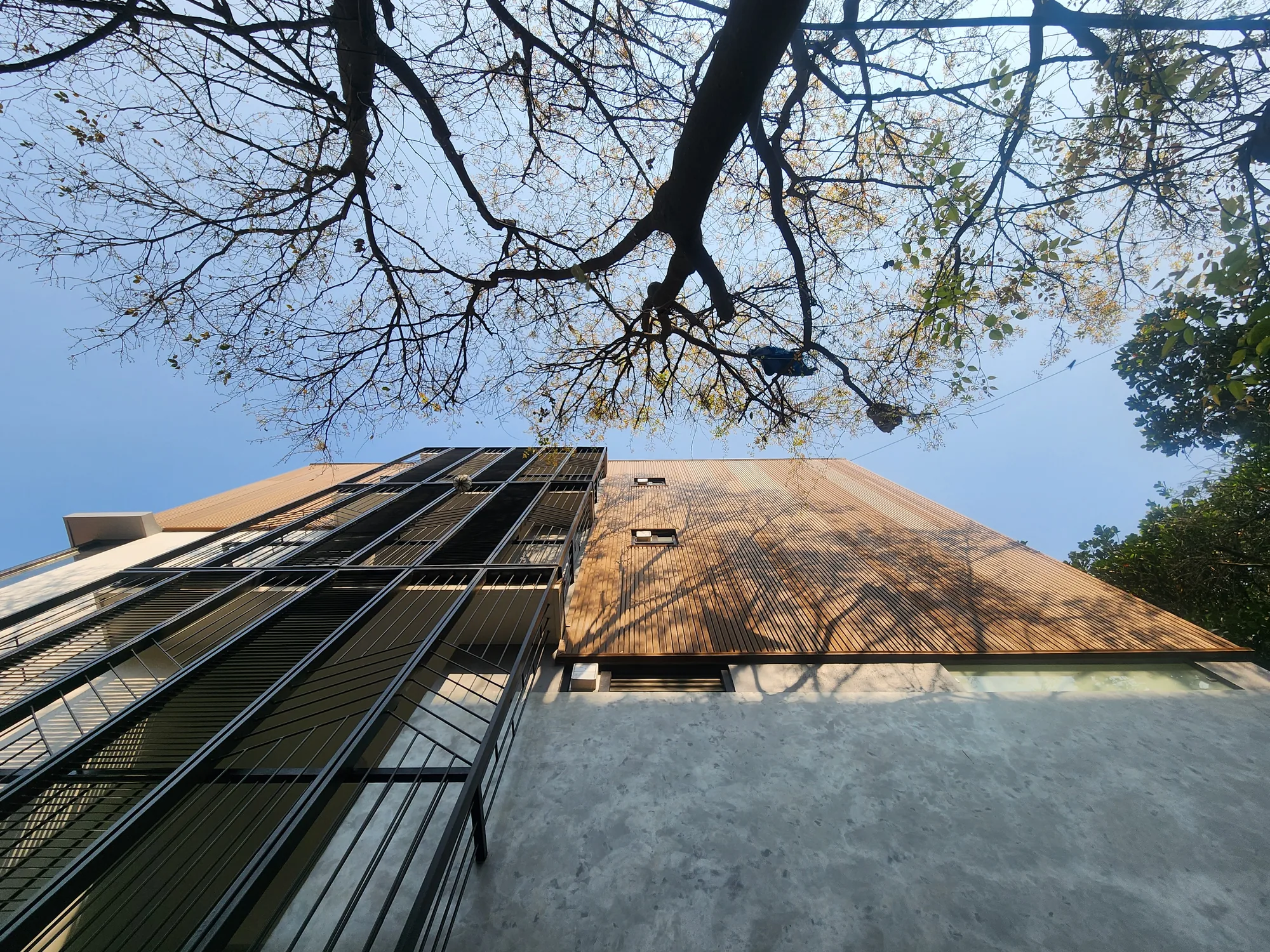 Screen House